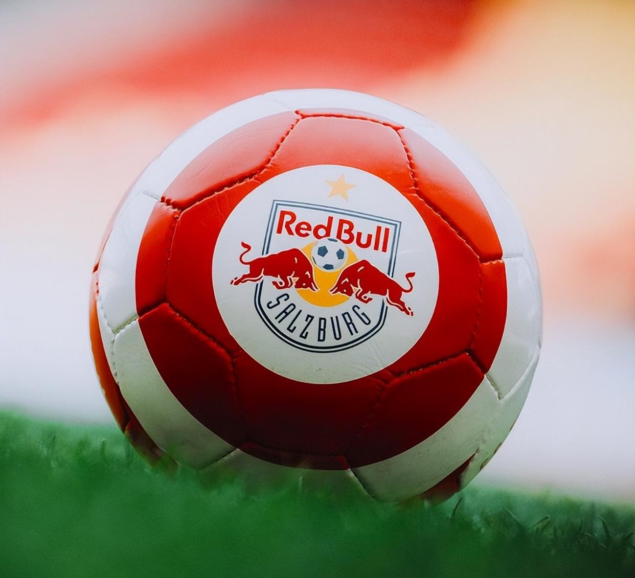 多米官方入口 -葡萄水平棚架图解